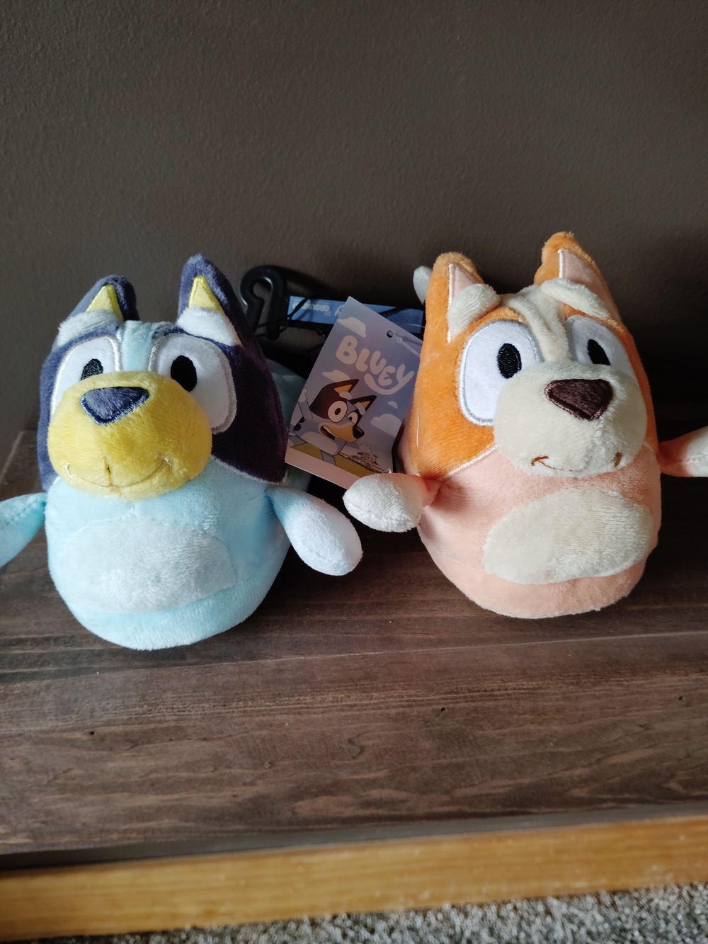 Bluey Slippers